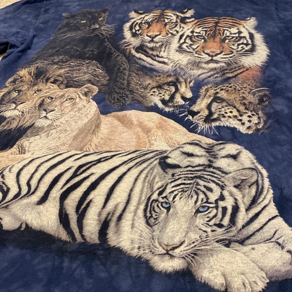 ‼️TIGERS‼️ - Picture 2 of 5